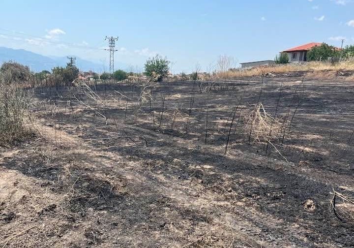 Otluk alanda çıkan yangın büyümeden söndürüldü