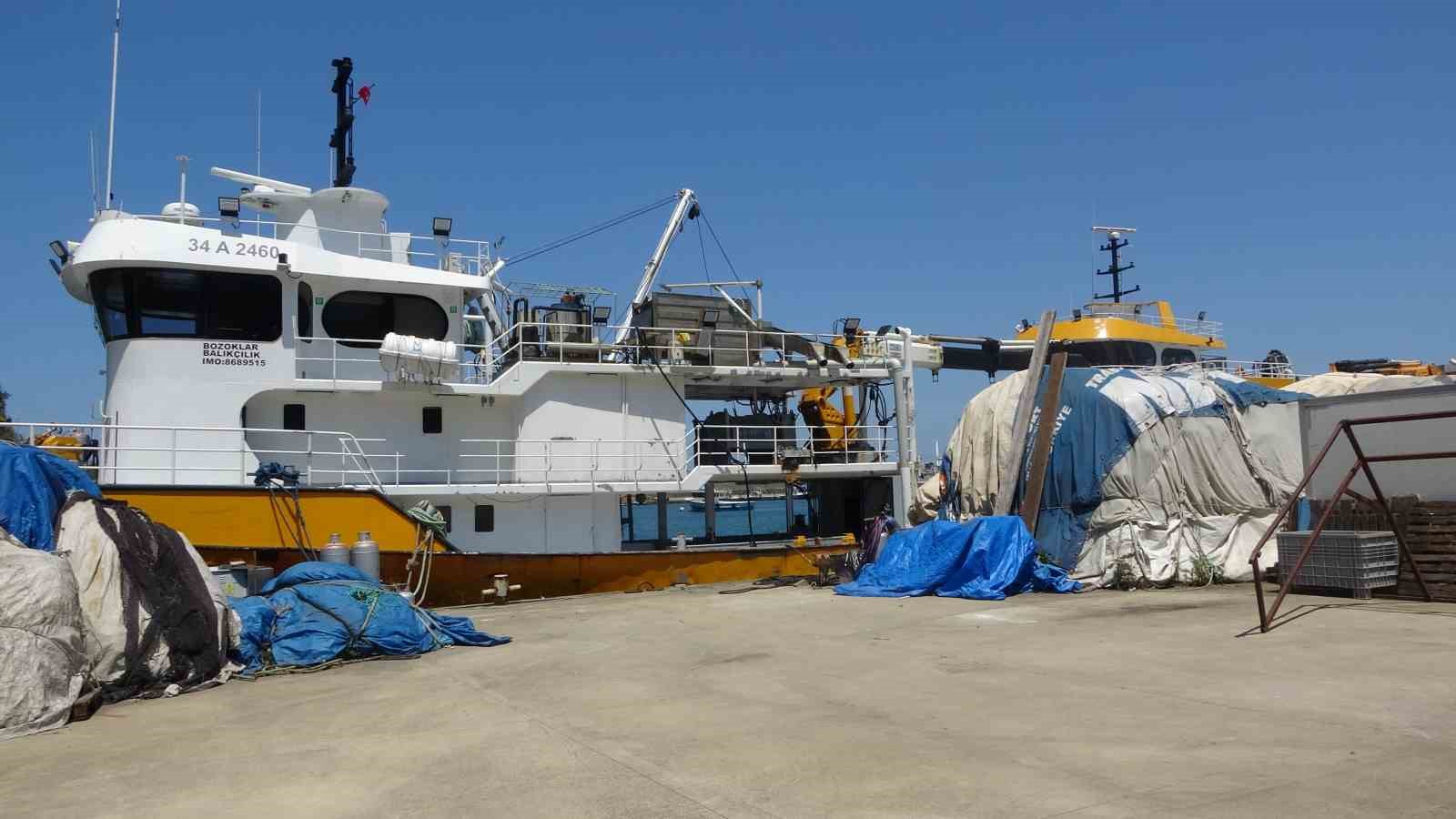 Balıkçıların yeni sezonda umudu palamut