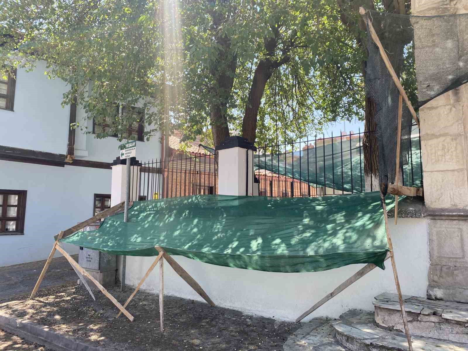 Dökülen dutlar için ağlı önlem