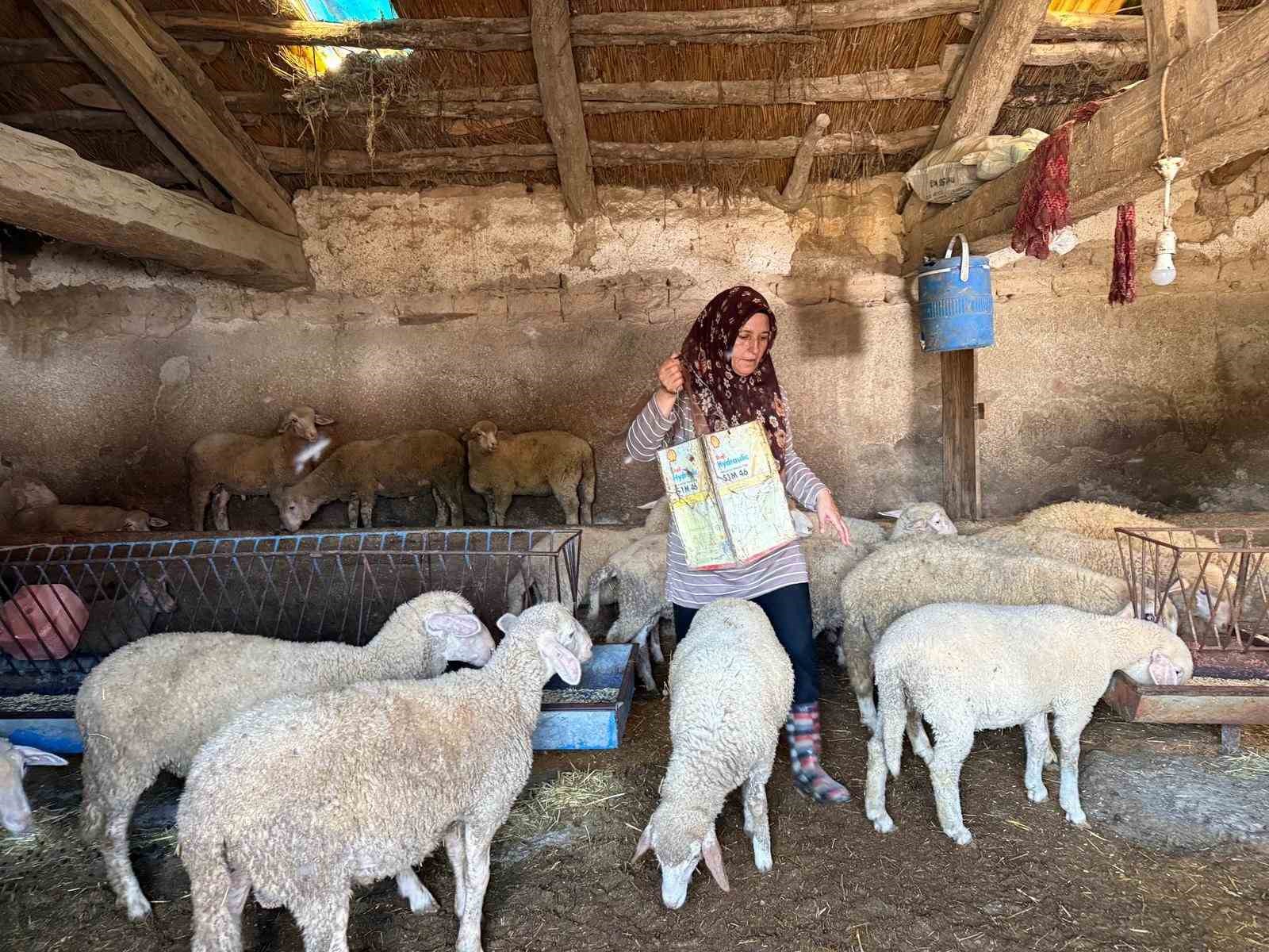 "Hayvanlara büyü yaptı" denilerek vahşice öldürülen adamın karısı tek başına çobanlık yaparak 2 oğlunu okutmaya çalışıyor
