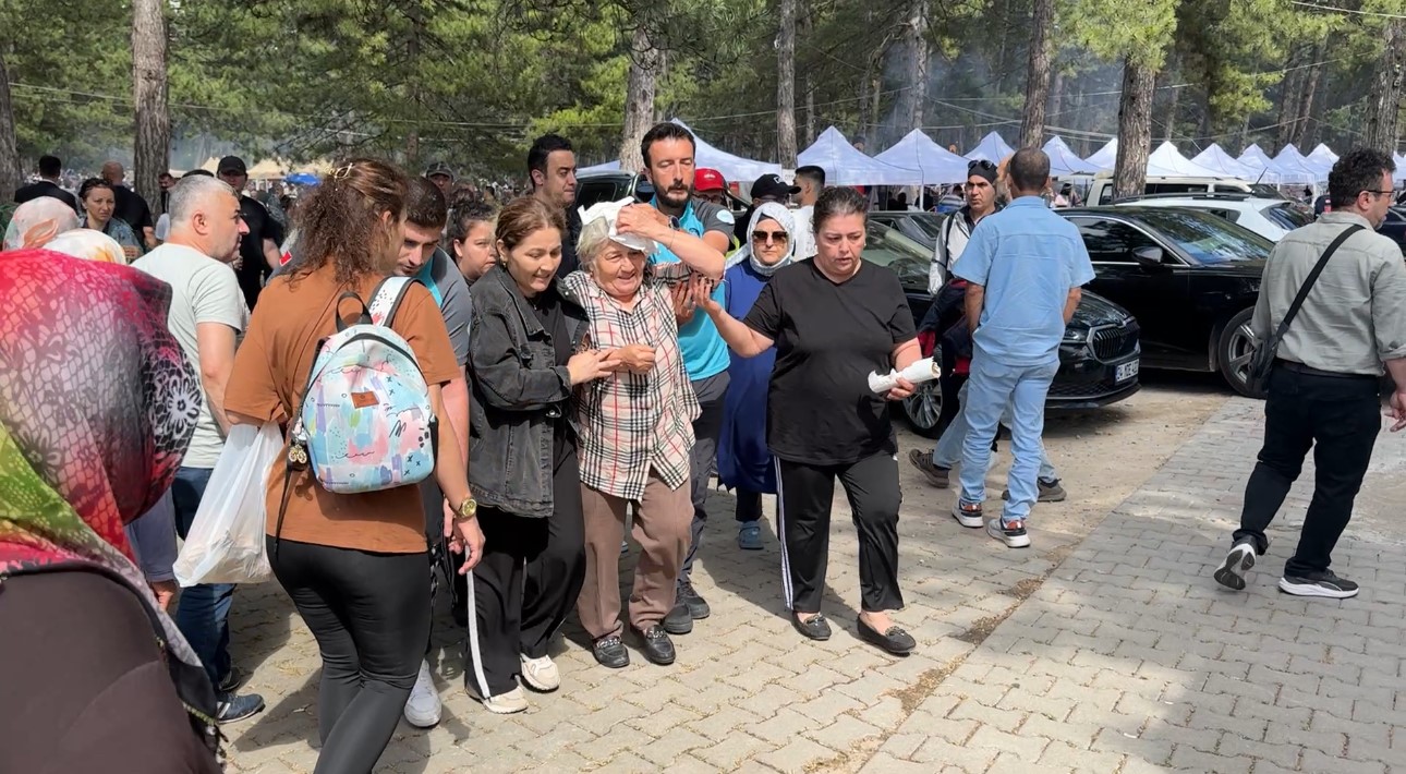 Şenlikte ağaçtan düşen dal yaşlı kadını yaraladı