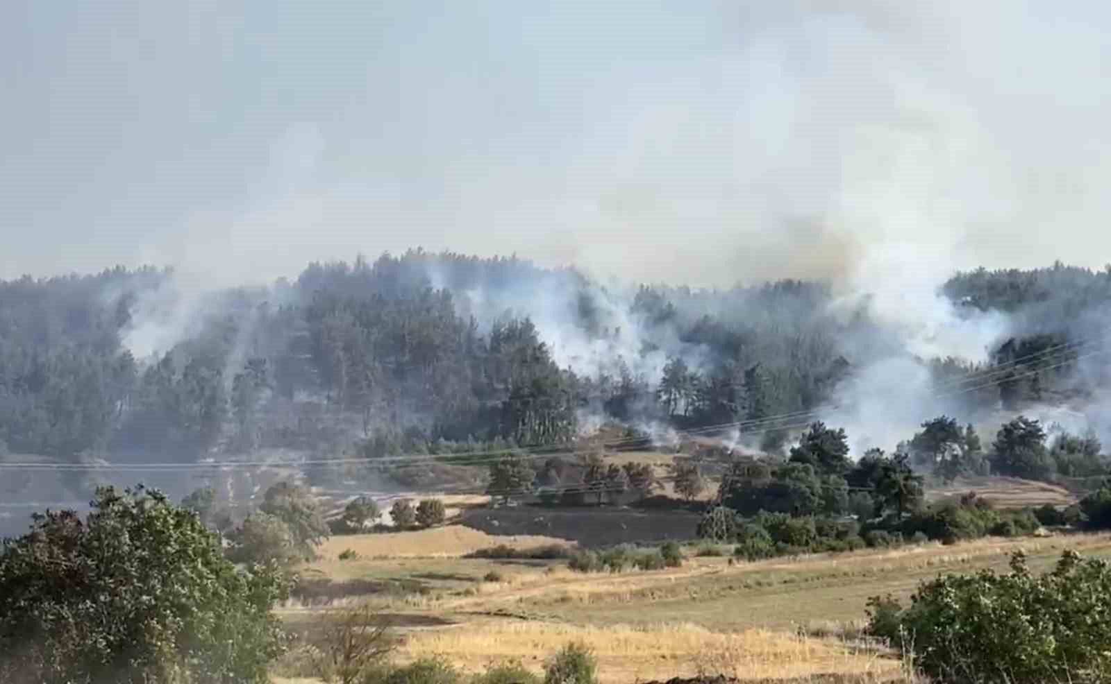 Balıkesir’de orman yangınına müdahale sürüyor