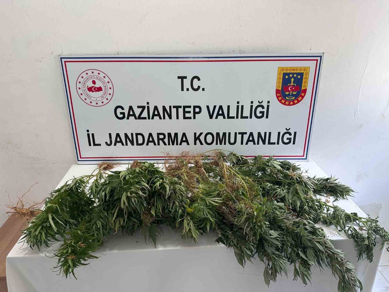 Gaziantep jandarmadan uyuşturucu operasyonu