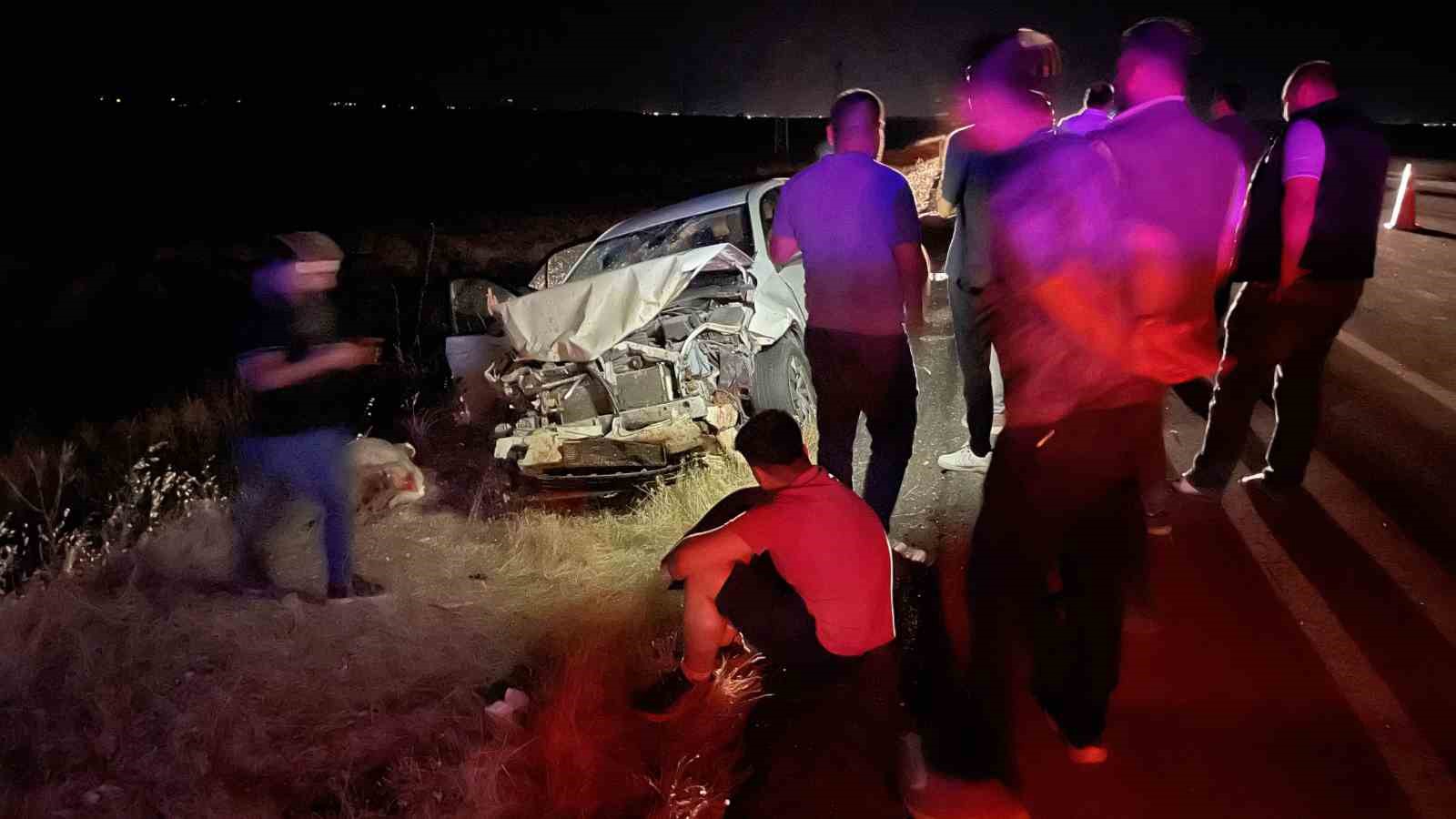 Siverek’te otomobil koyun sürüsüne daldı: 3 kişi yaralandı, 11 koyun telef oldu