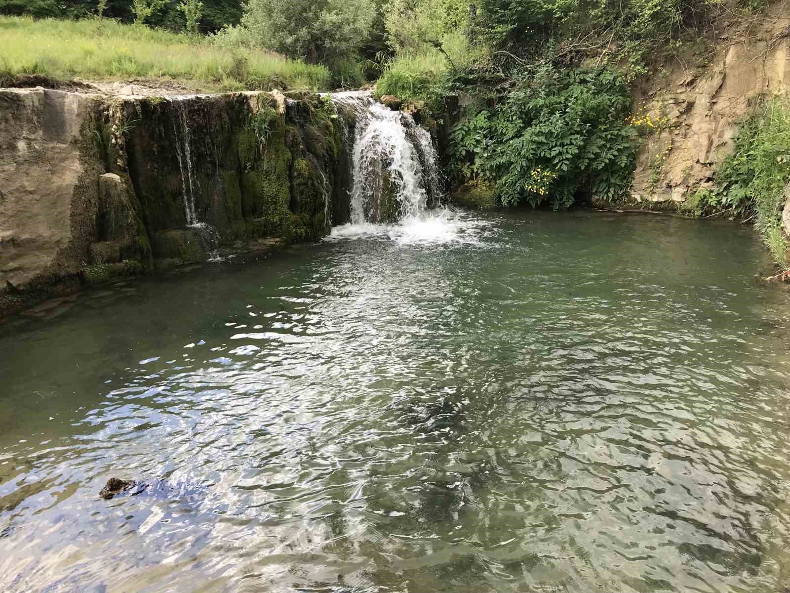 Mahallelinin ’şelale’ talebi