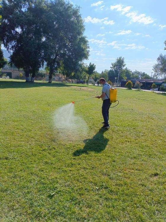 Sakarya Nehri kıyısında haşereye karşı yoğun mesai