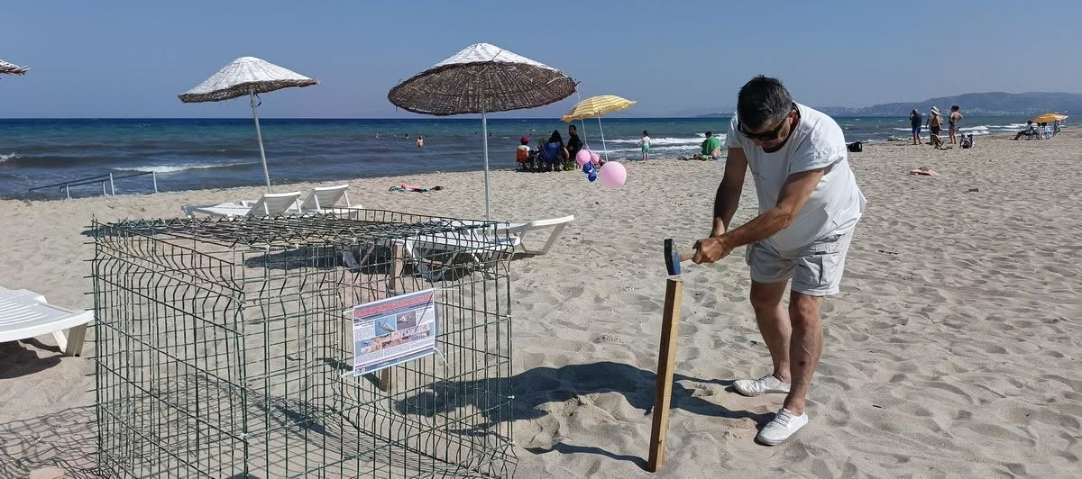 Kuşadası’nda caretta carettalardan umutlandıran yuva
