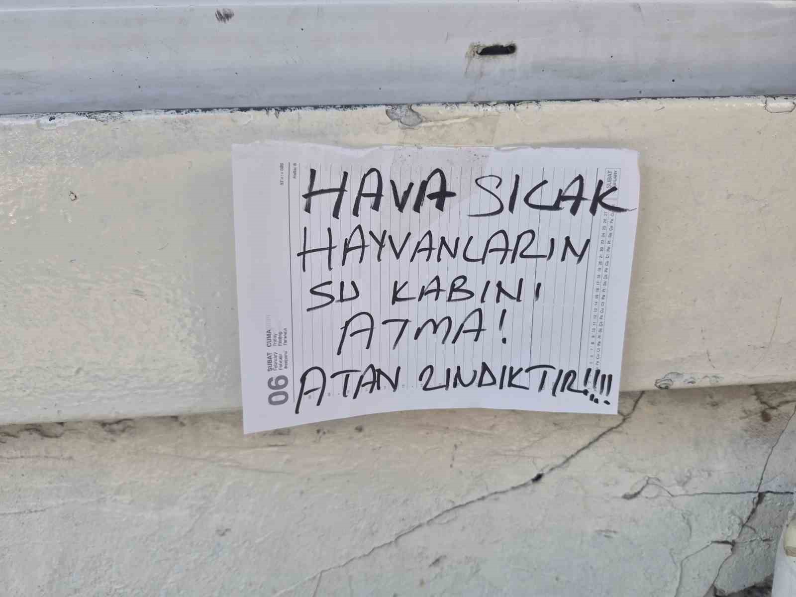 Sokak hayvanlarının su kabını atanlara ilginç tepki: "Atan zındıktır"