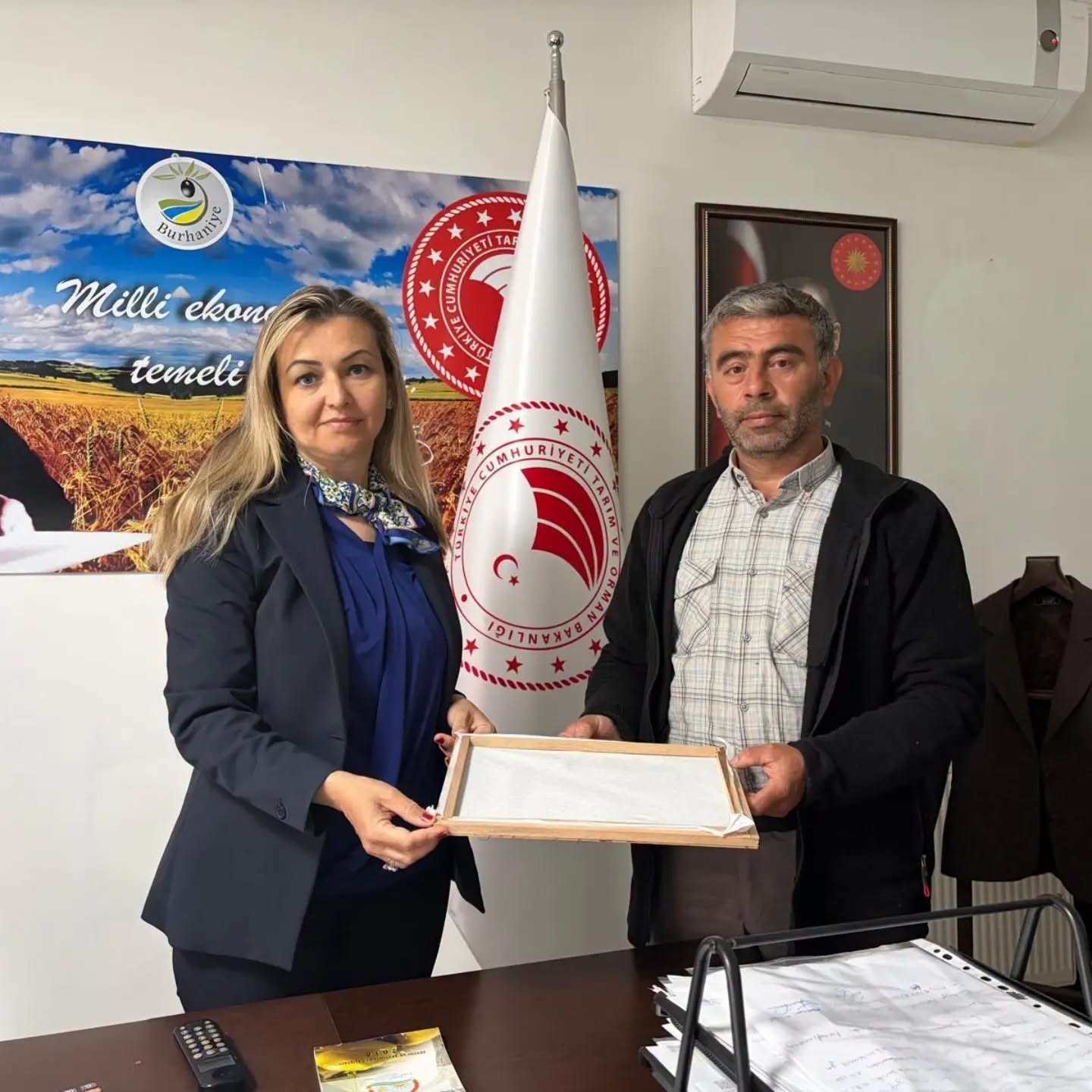 Burhaniye’de ipek böcekçiliğinde ilk kozalar hasat edildi