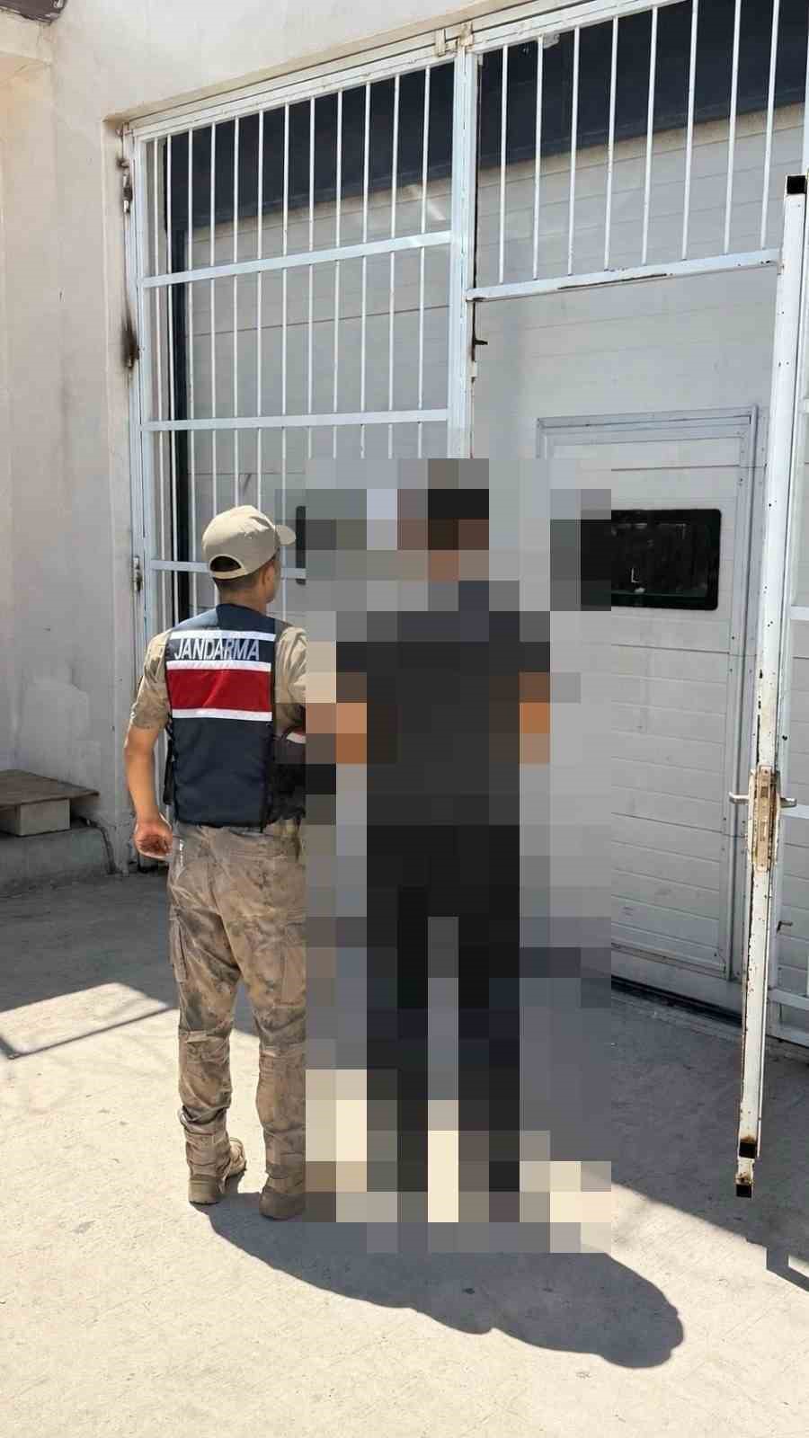 Siverek’te 10 yıl hapis cezası bulunan yağma hükümlüsü yakalandı