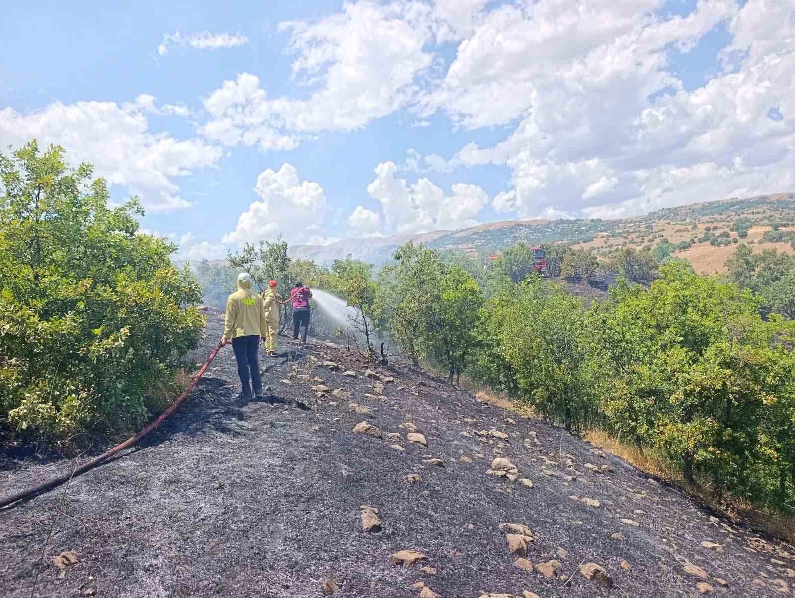 Bingöl’de orman yangını büyümeden söndürüldü