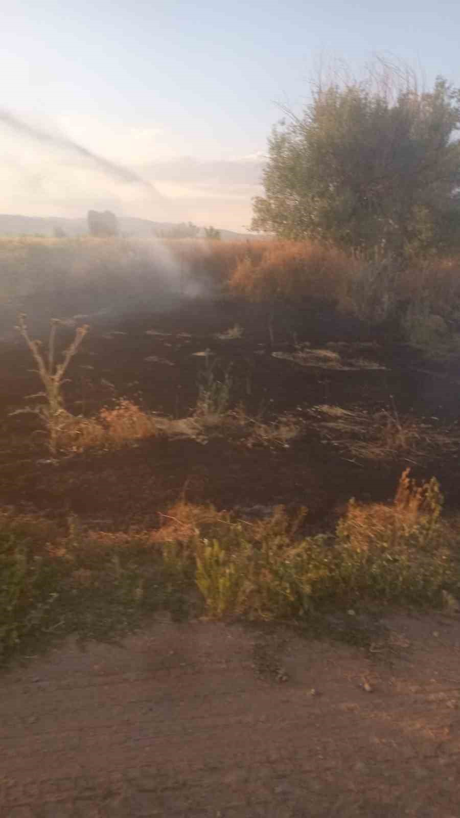 Anız yangını tarım arazileri ve ormanlık alana sıçramadan söndürüldü