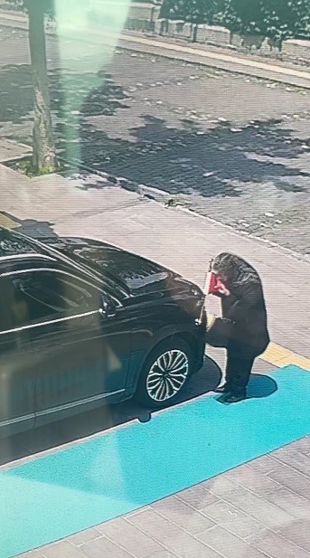 Kars’ta yaşlı kadın makam aracındaki Türk bayrağını öptü