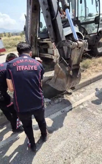 Osmaniye’de mazgala düşen yavru kedi itfaiye ekiplerince kurtarıldı
