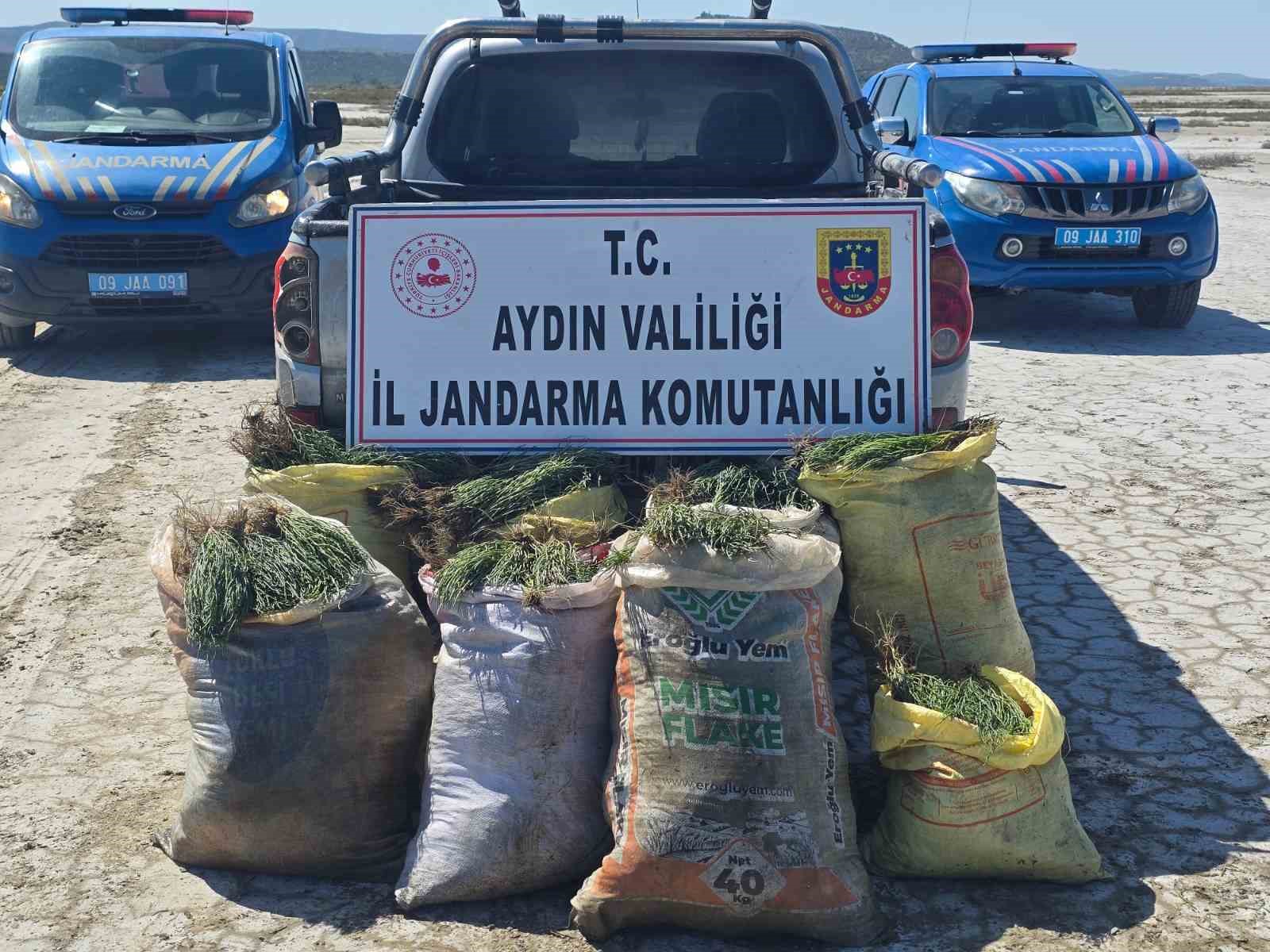 Doğal koruma alanlarında izinsiz bitki toplayan 8 şüpheliye işlem yapıldı
