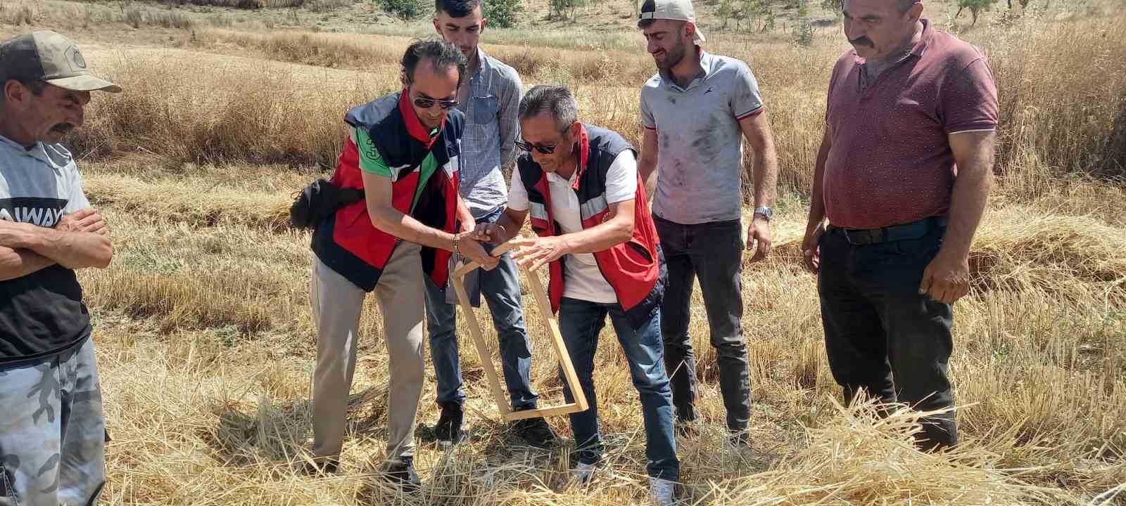Tavşanlı’da biçerdöver kontrolleri sürüyor