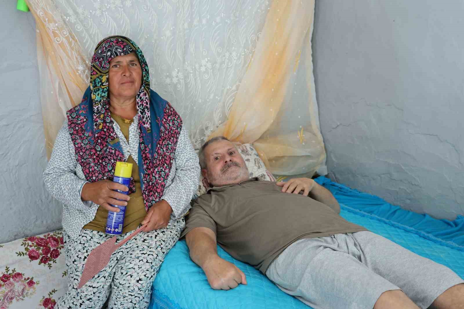 Felçli eşinin rahat etmesi için başında sinek nöbeti tutuyor