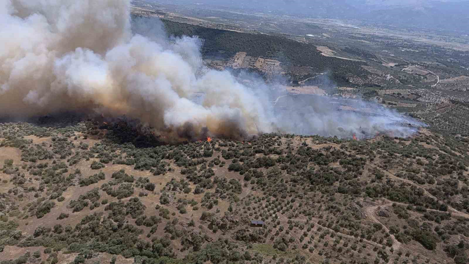 Bozdoğan’da ziraat alanında yangın çıktı