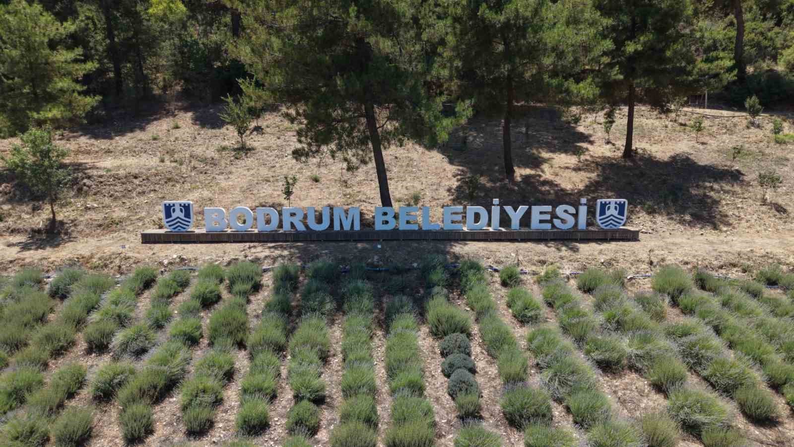 2026 Yılı Gençlik Tarım Kamplarının ilki başladı