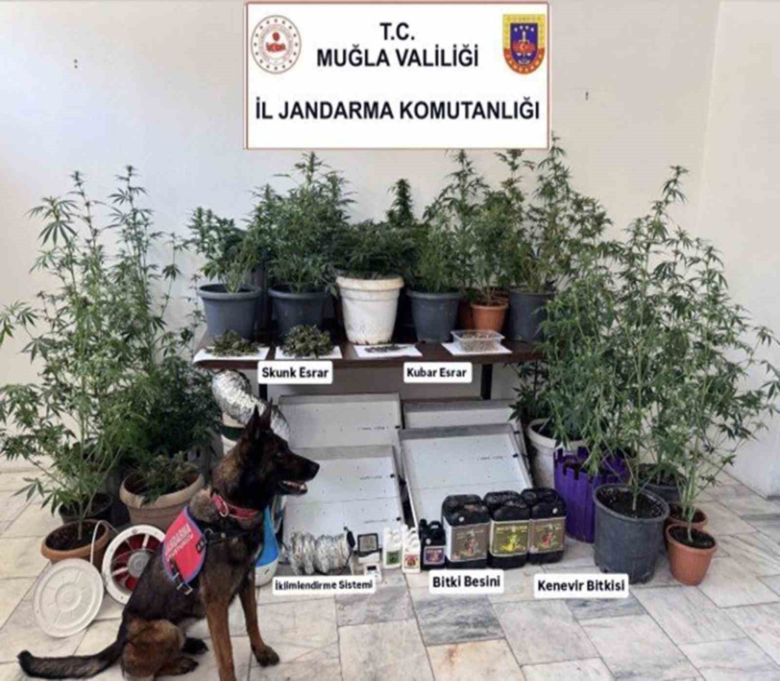 Jandarma ekiplerinin uyuşturucu ve sahte alkol denetimleri sürüyor