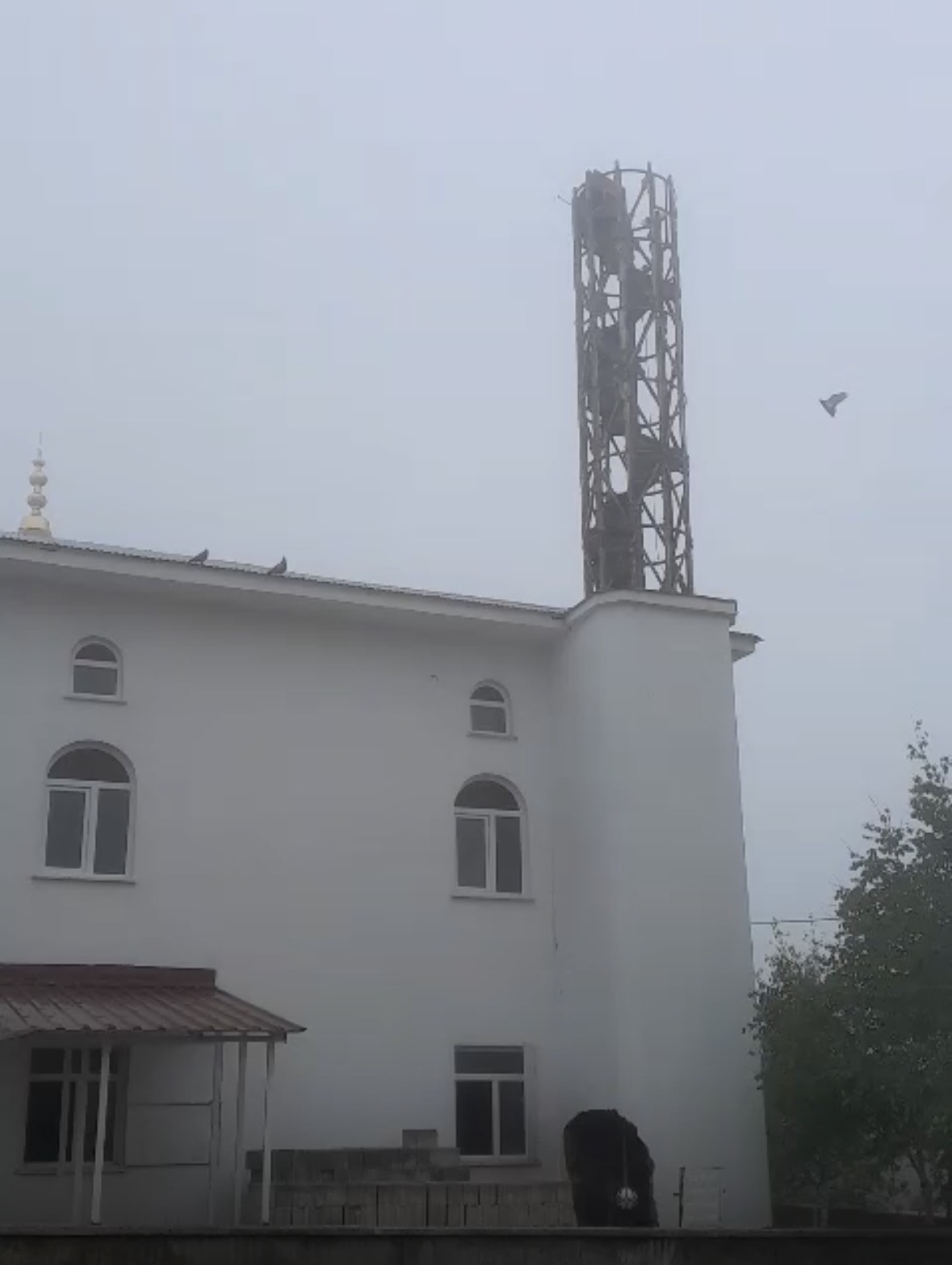 Güvercin yuvası minare yıkımını erteledi