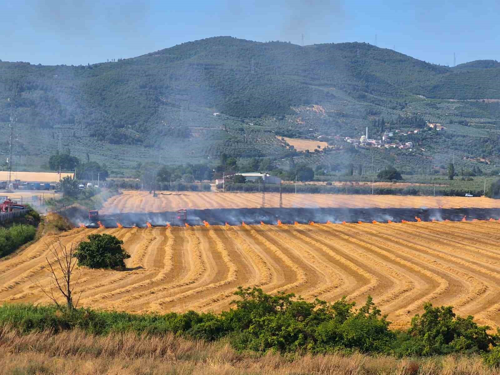 Gemlik Serbest Bölge yakınında yangın