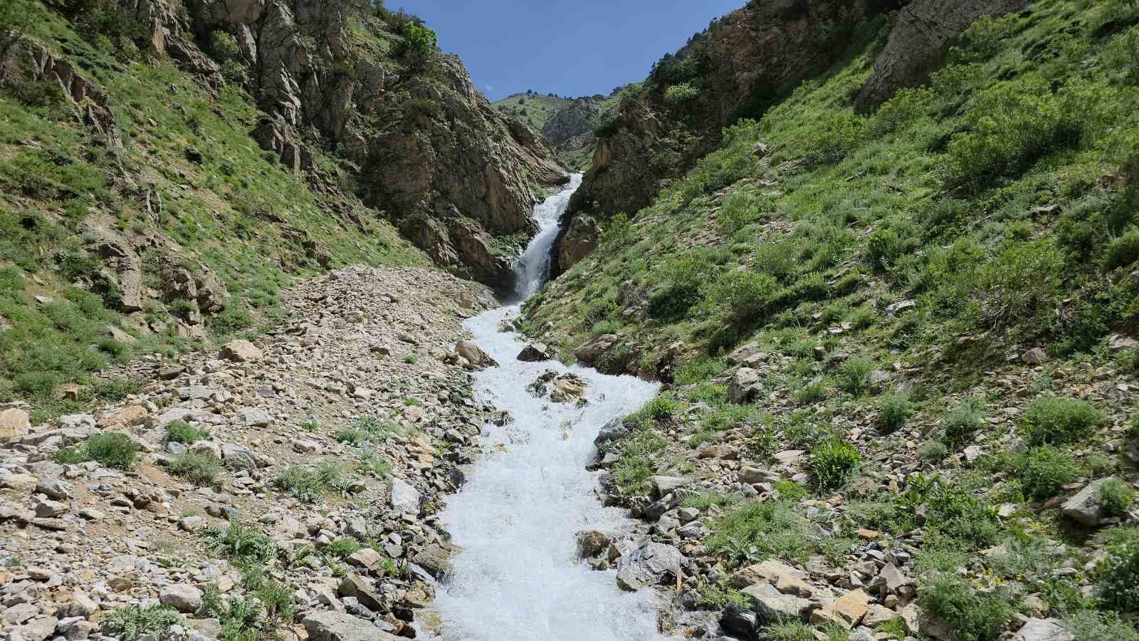 20 yıl sonra yeniden hayat buldu: Çatak’ta kuruyan su kaynağı akmaya başladı