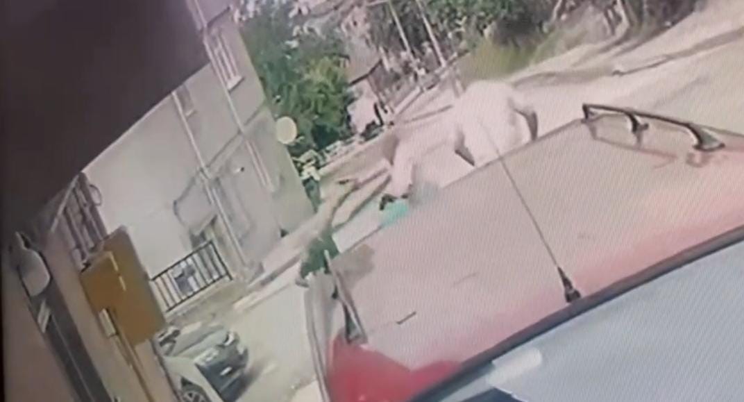 Kardeş katliamının zanlısı teslim oldu