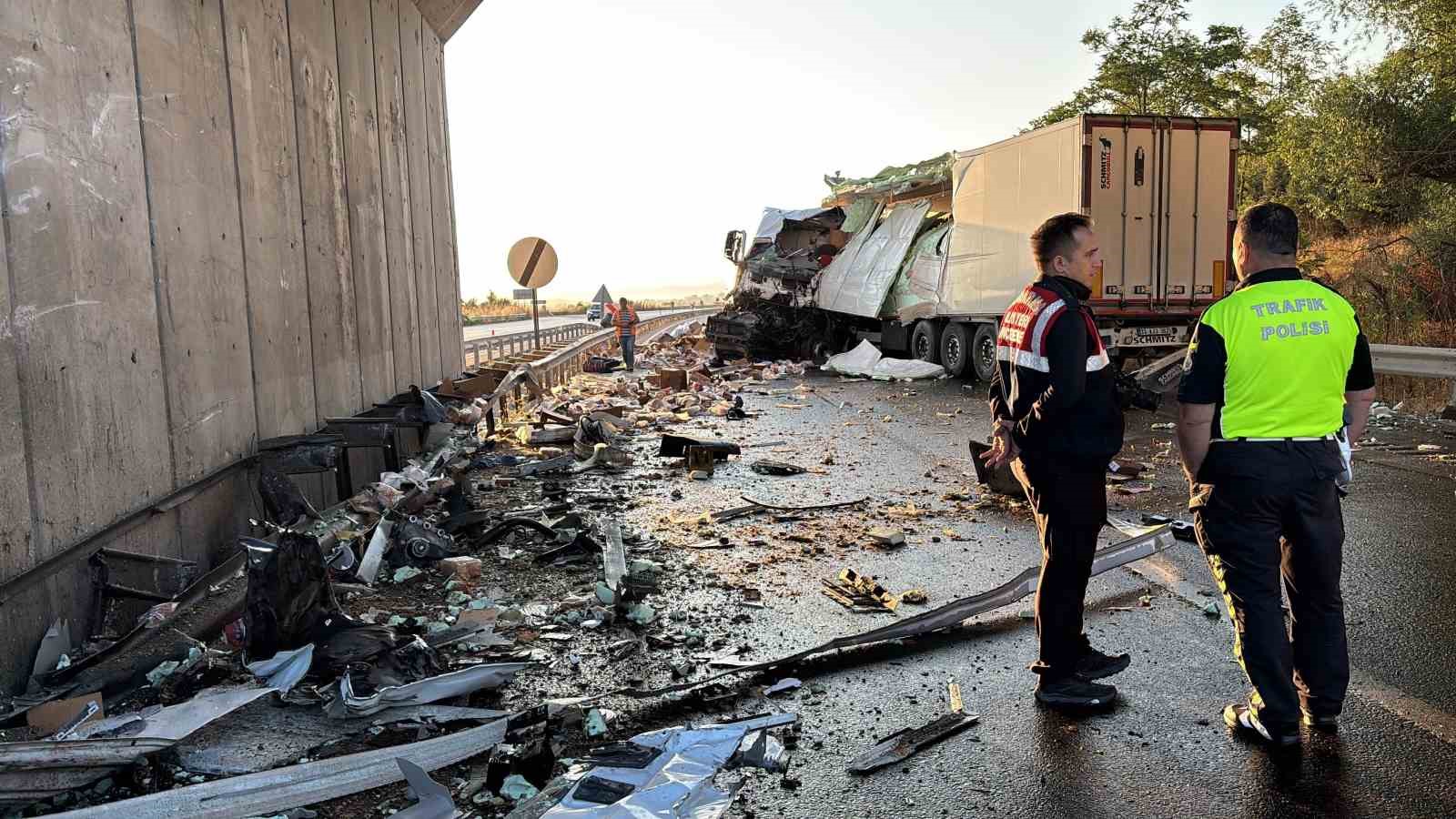 Köprüdeki beton bariyere çarpan tavuk yüklü kamyonun sürücüsü hayatını kaybetti