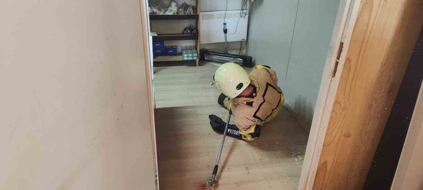İş yerine giren yılan paniğe neden oldu