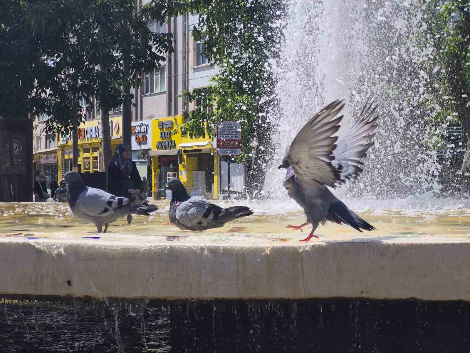 Fıskiyelerin altında kanat çırparak doyasıya serinlediler