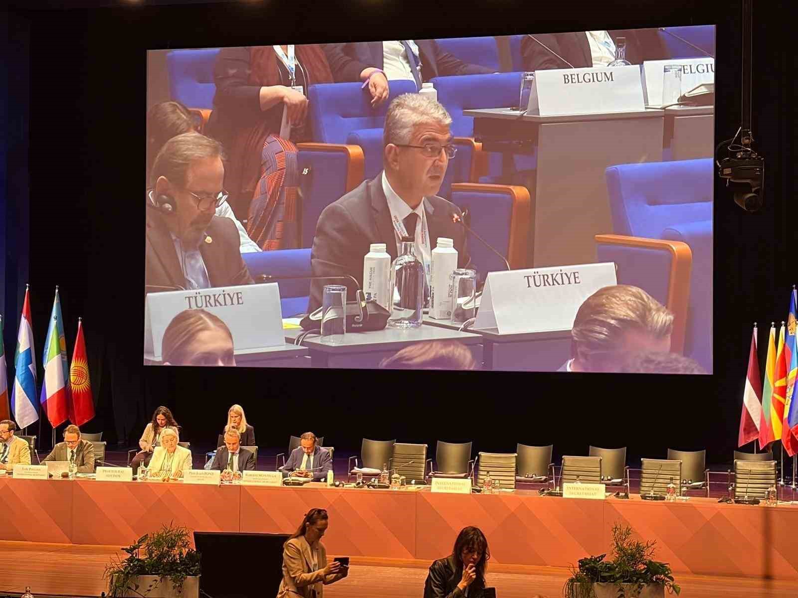 AGİT’te Türkiye rüzgarı: MHP’li Aydın’dan gençleri dijital tehditlerden koruyacak tarihi tasarı