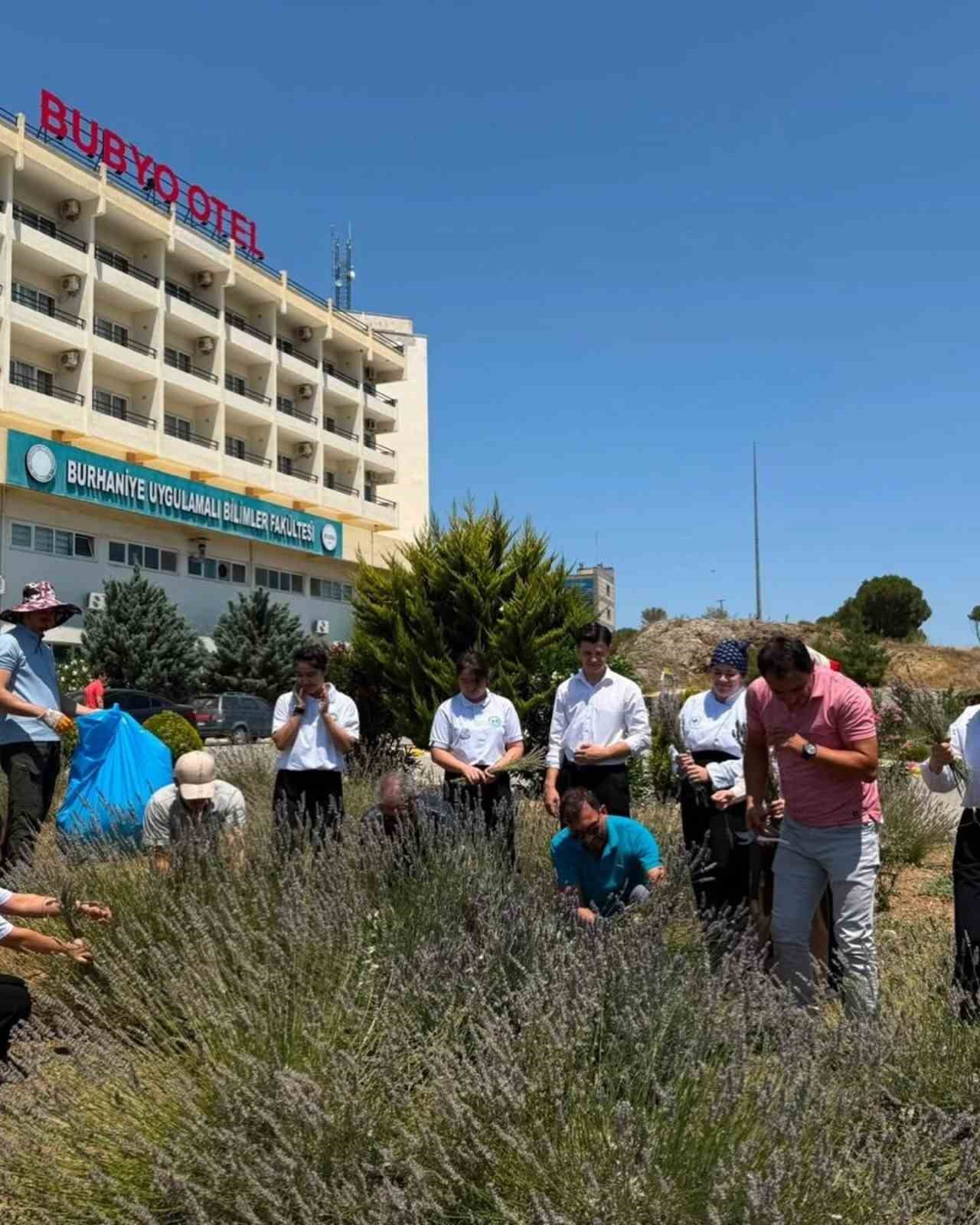 Lavanta kokulu okulda hasat heyecanı yaşandı
