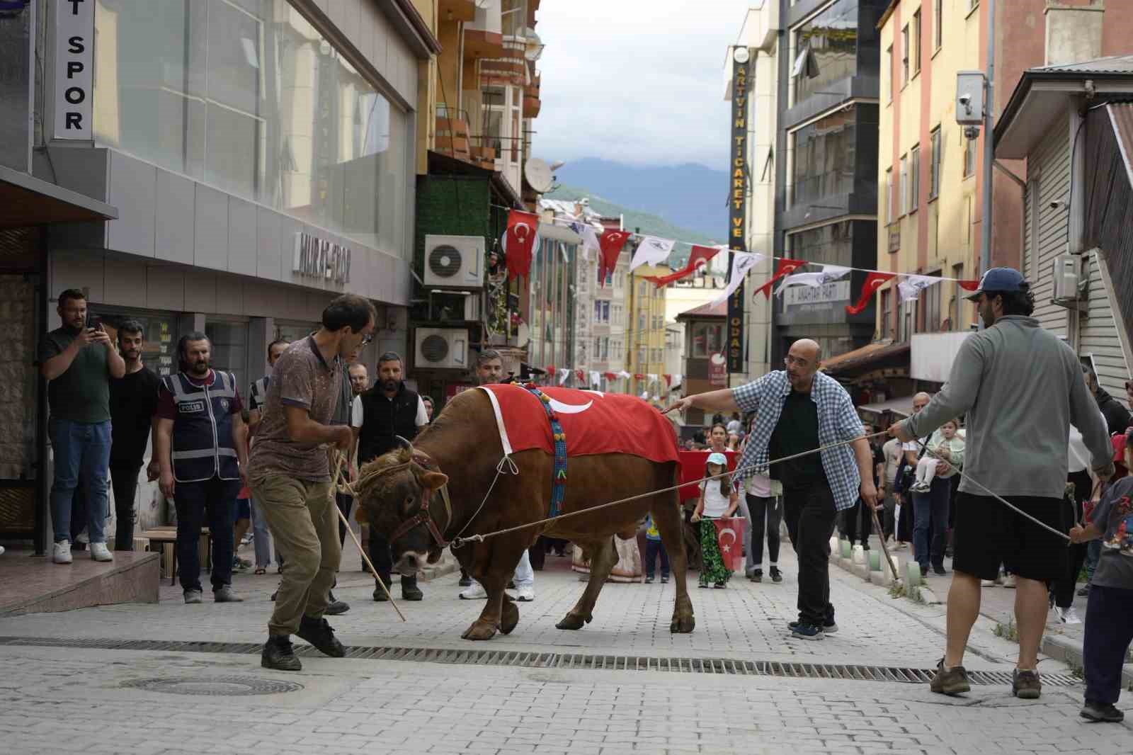 "Kafkasör Festivali" boğalı kortej yürüyüşüyle başladı