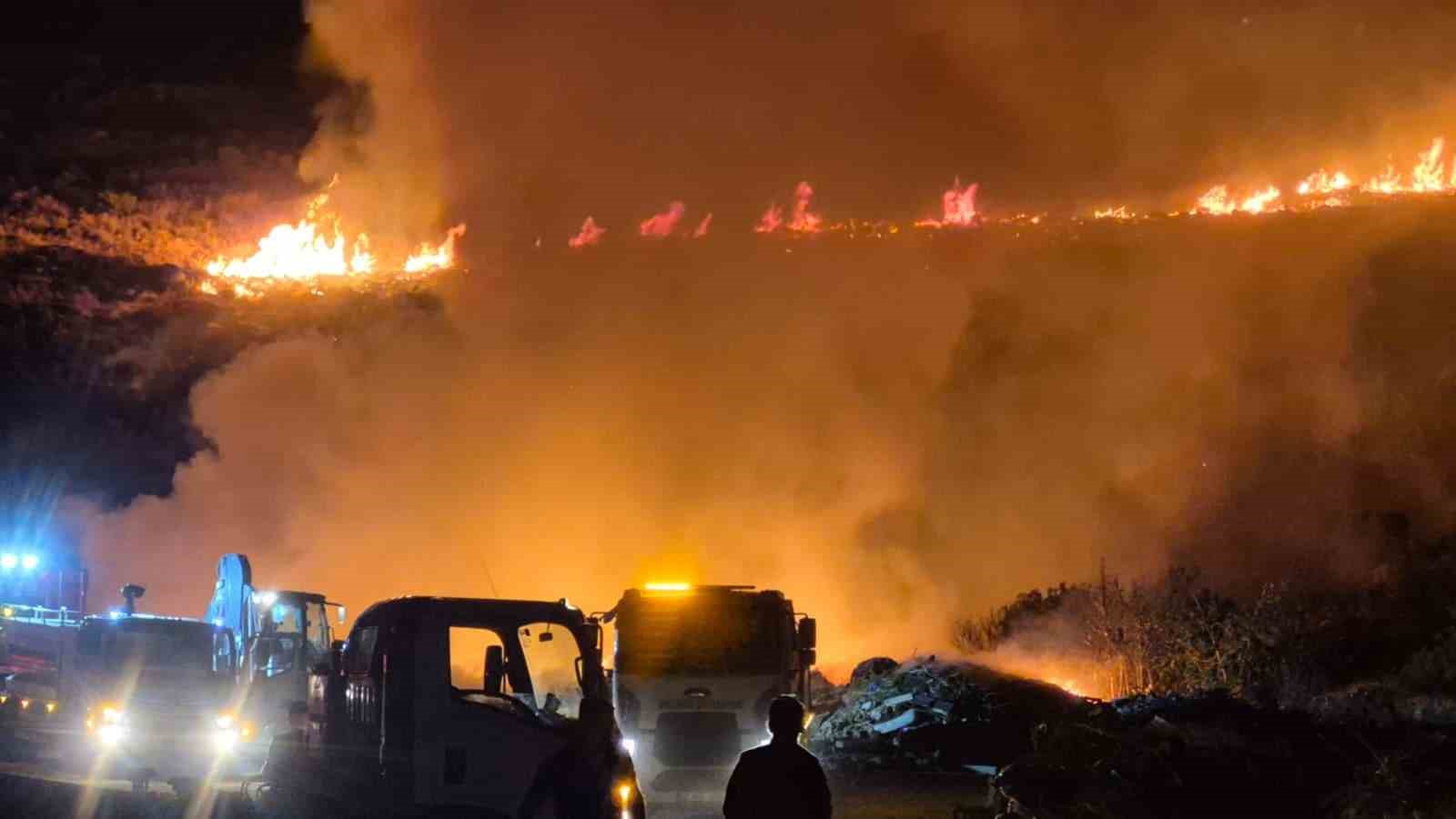 Bodrum’da makilik alanda yangın