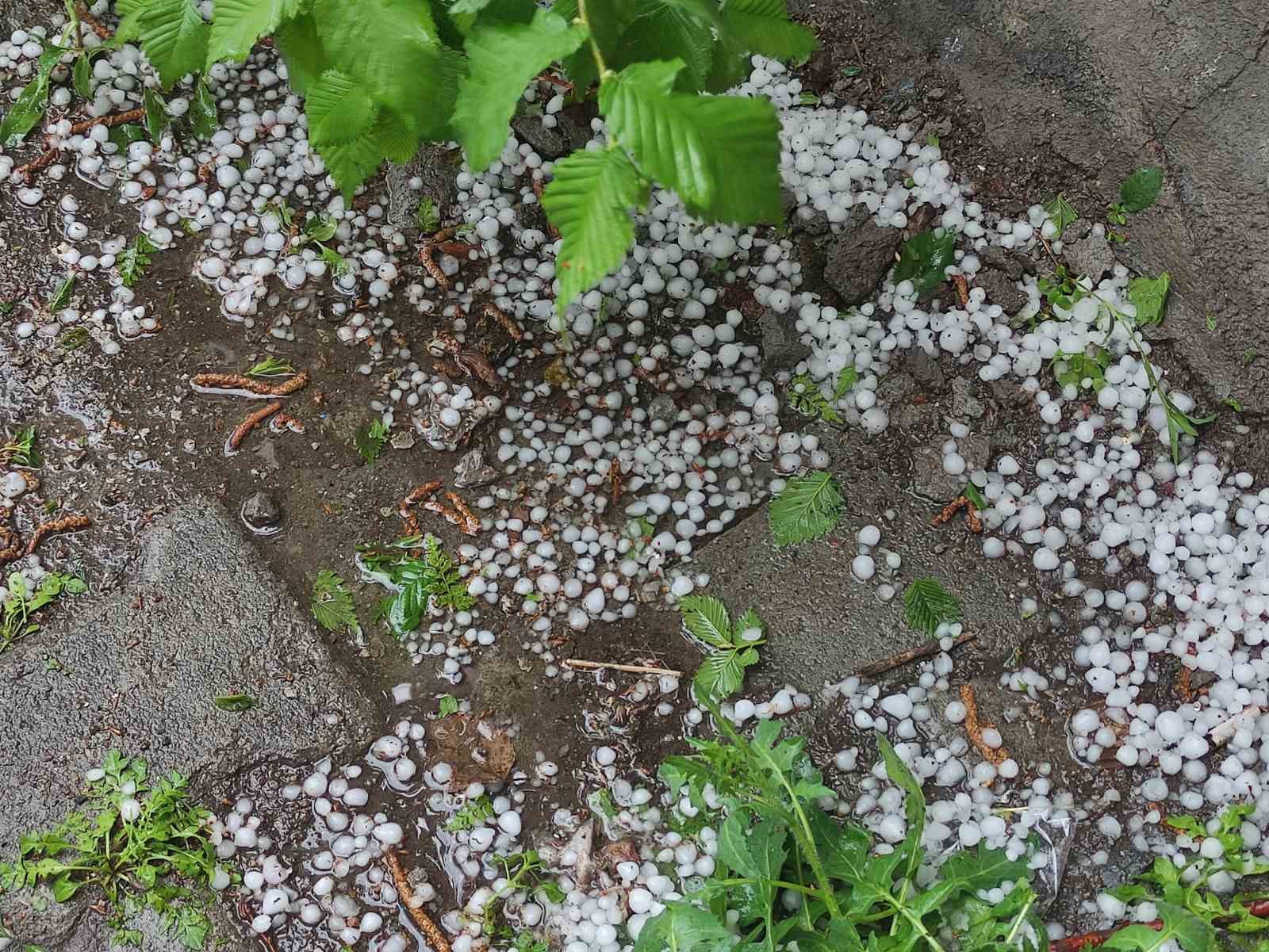 Ardahan’da sağanak ve dolu yağışı tarım arazilerine zarar verdi