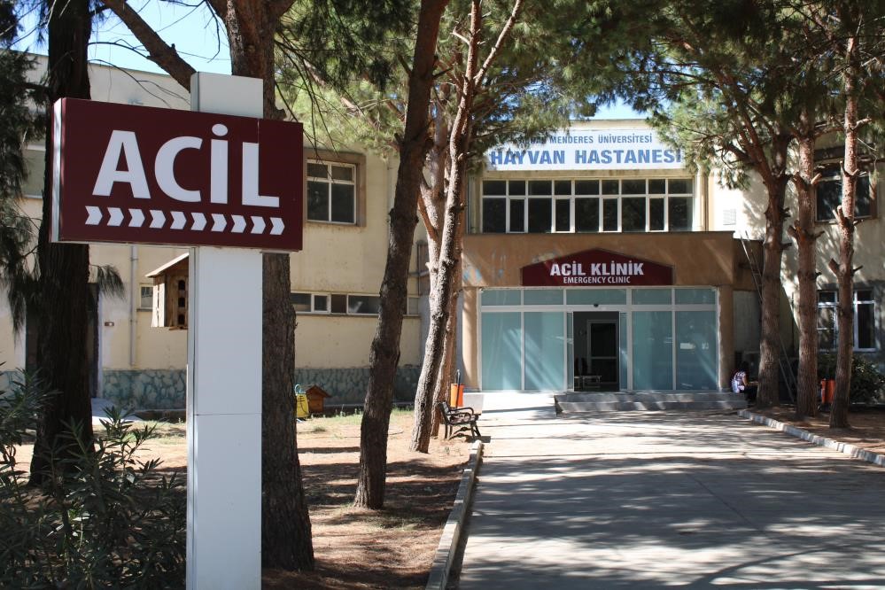 ADÜ Hayvan Hastanesi’nde online randevu dönemi başladı