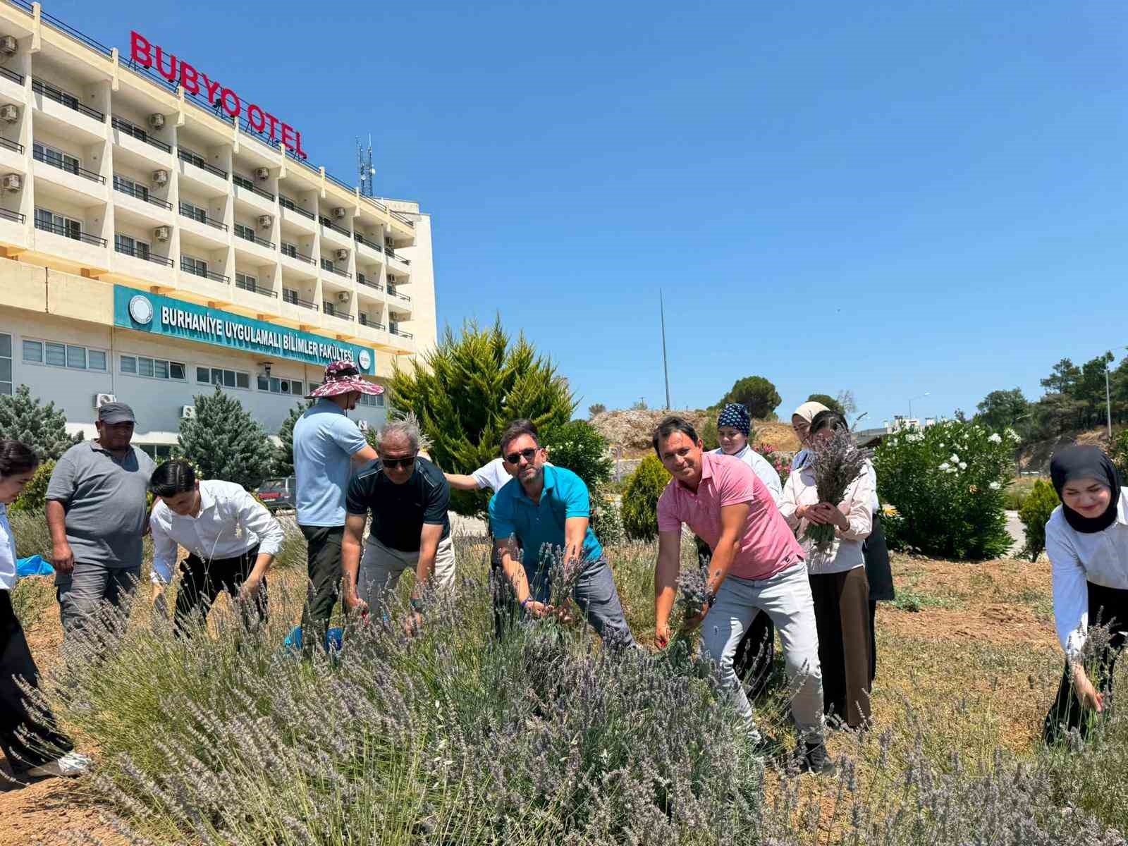 Burhaniye’de "Lavanta Kokulu Okul" da hasat heyecanı