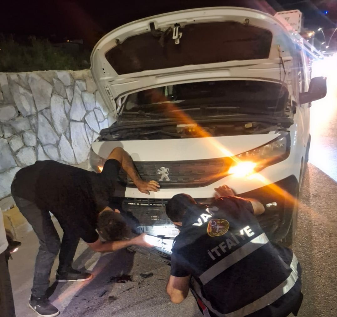 Van’da kamyonetin çarptığı köpeği kurtardı
