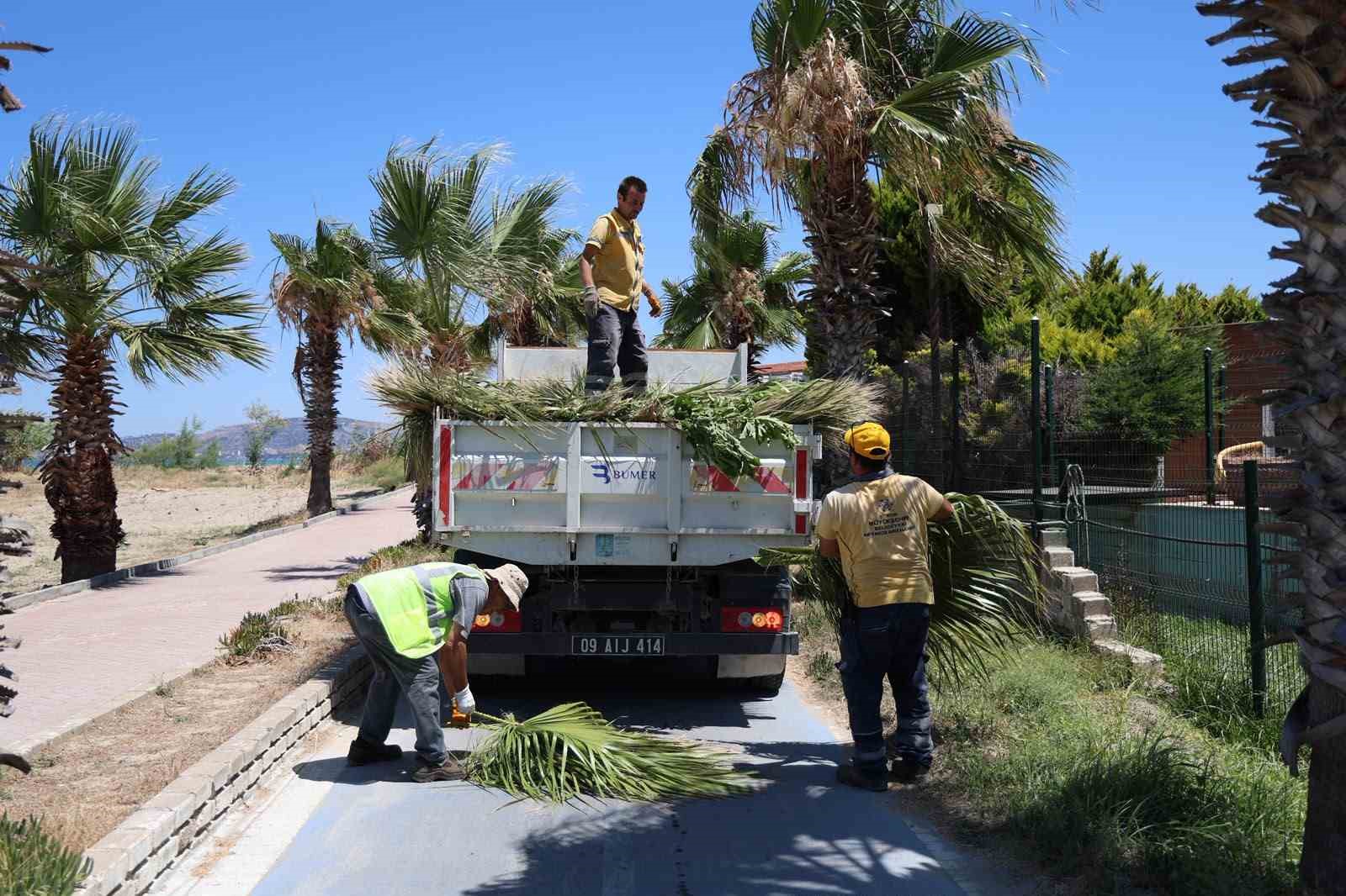 Kuşadası’nda yeşil alanlarda kapsamlı bakım ve düzenleme çalışması