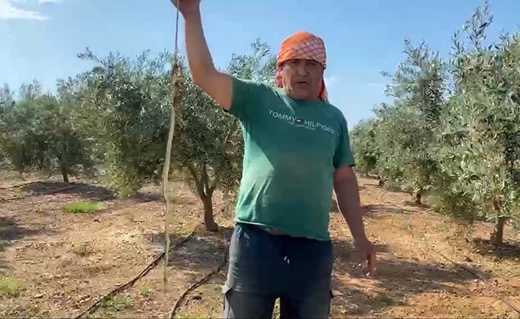 ’Yılanı öldürdüm’ deyip çektirdiği video pahalıya mal oldu: 22 bin TL ceza yedi