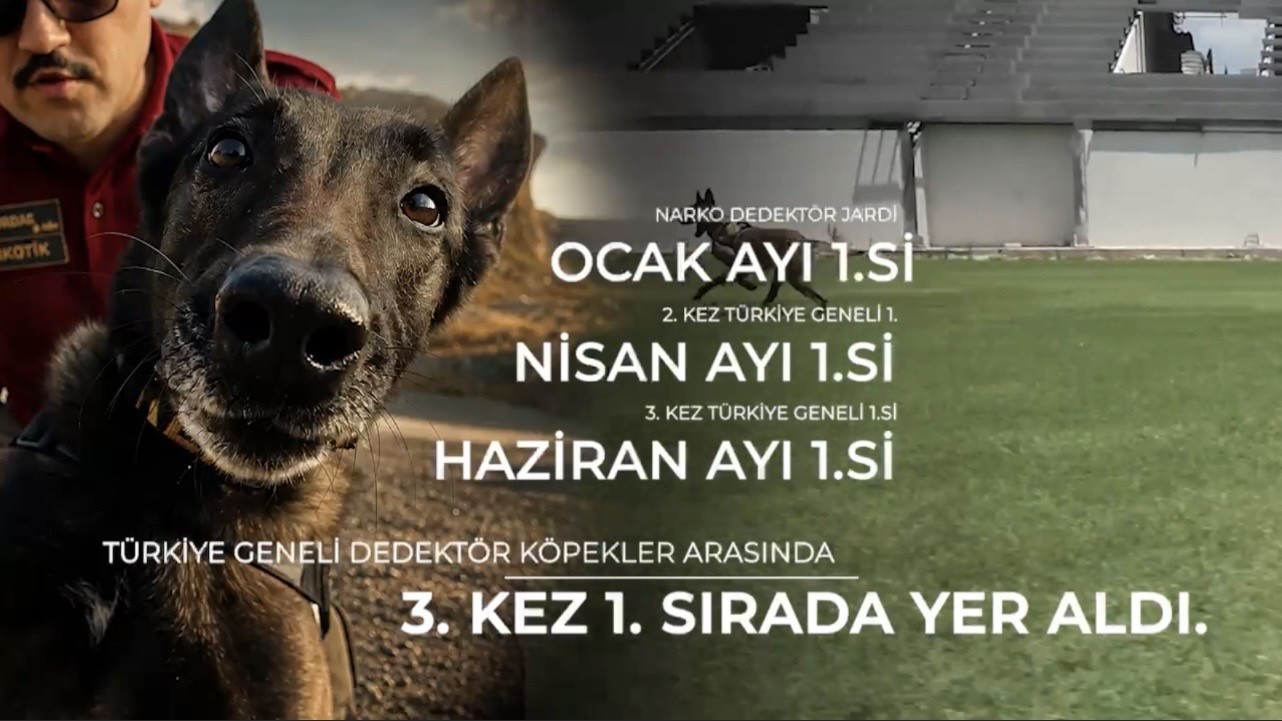 Narkotik köpeği ‘Jardi’ üçüncü kez zirvede