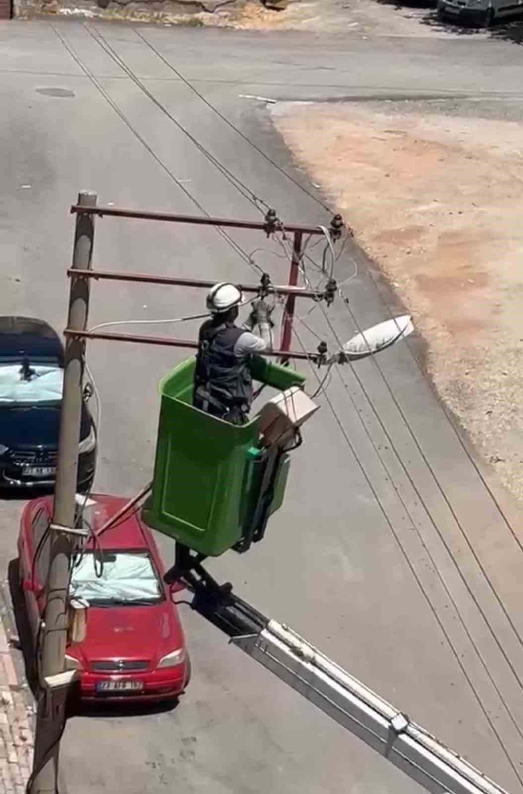 Elektrik tellerine takılan kuş kurtarıldı