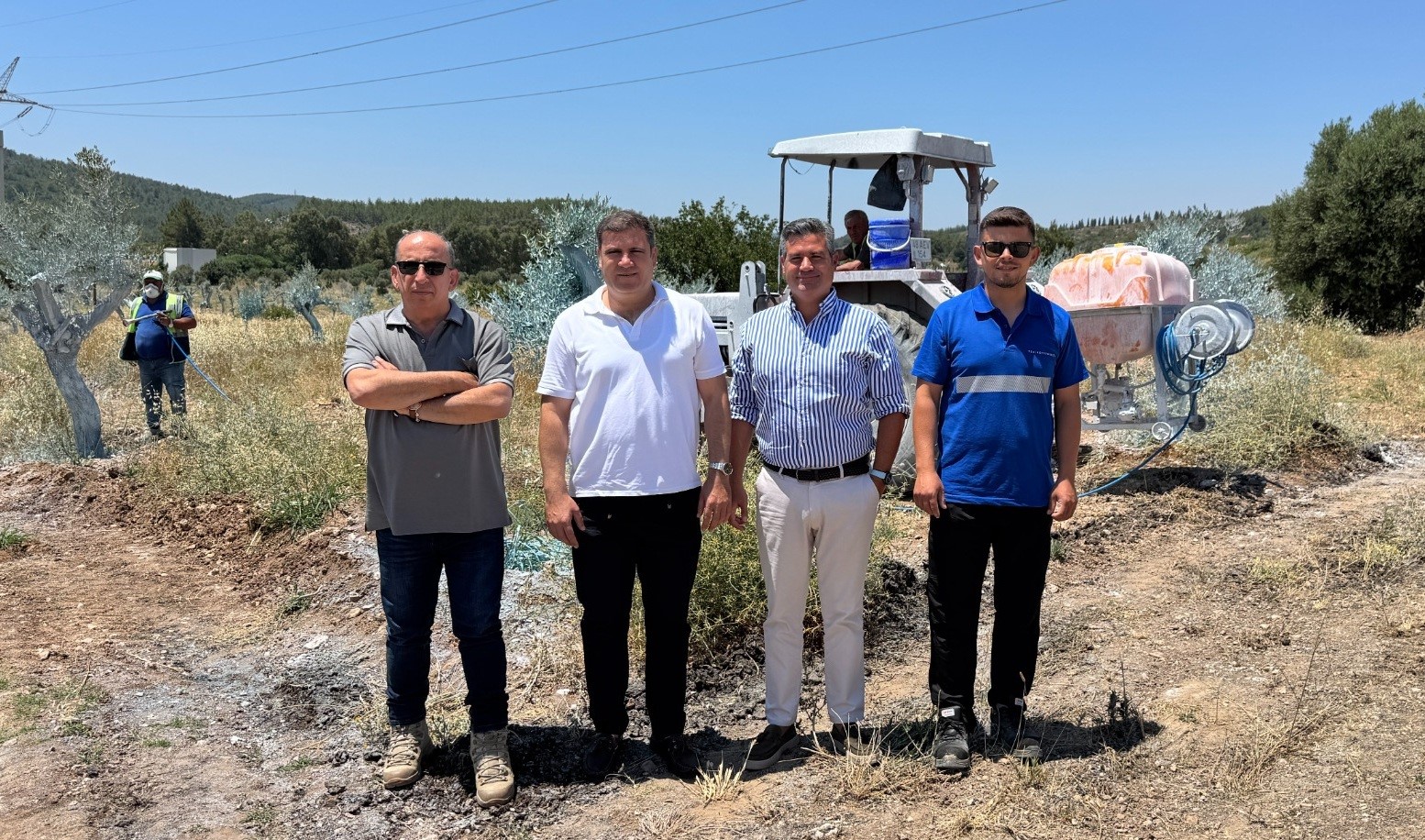 Zeytinler büyüyor, Milas kazanıyor