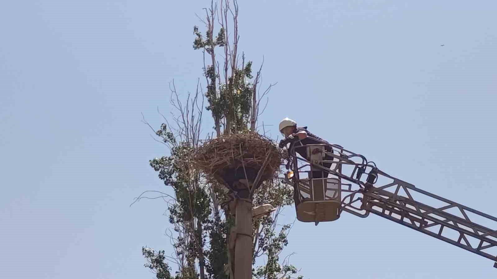 İpe dolanan leyleğin yardımına itfaiye yetişti
