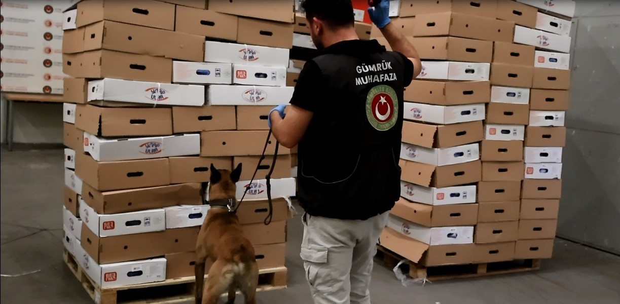 Kapıkule’de tavuk kolilerinden uyuşturucu çıktı: 526 kilo esrar ele geçirildi