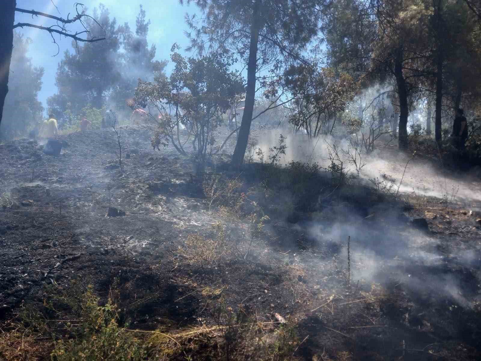 Bilecik’te orman yangını çıktı