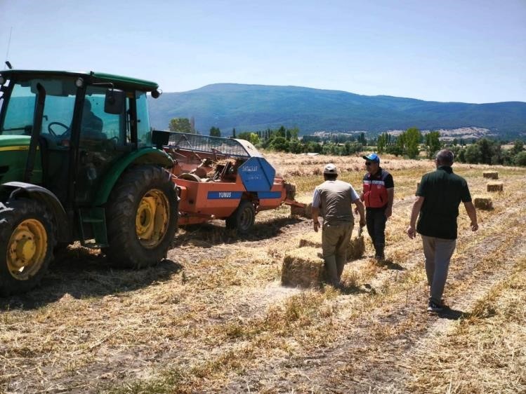 Kütahya Köprüören köyünde yem bezelyesi demonstrasyonunda hasat tamamlandı