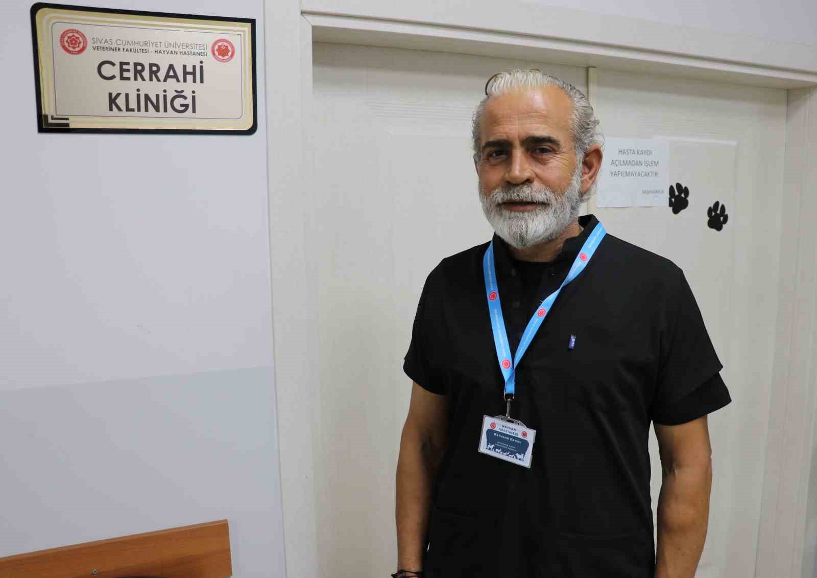 Kangal, çoban gelene kadar kırsalda doğan kuzuya kendi yavrusu gibi sahip çıktı