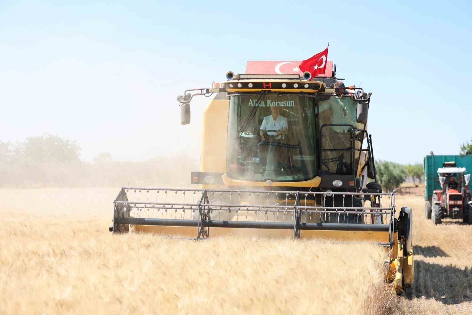 Şahinbey’de çiftçiler buğday hasadından memnun